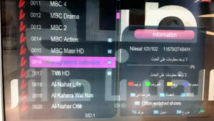 الأهلي كلوب الجزائر الارضية