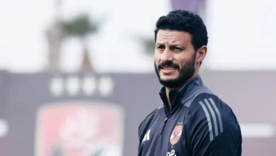 محمد الشناوي