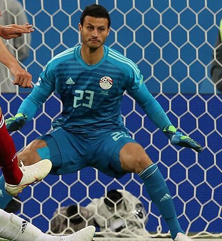 الشناوي