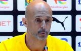 مدرب صن داونز يعلق على مفاوضاته مع الأهلي